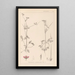 Herbier de la flore française Pl0086 - Louis Antoine Cusin — quadro incorniciato alla parete