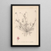 Herbier de la flore française Pl0091 - Louis Antoine Cusin — quadro incorniciato alla parete