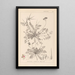 Herbier de la flore française Pl0094 - Louis Antoine Cusin — quadro incorniciato alla parete