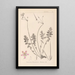 Herbier de la flore française Pl0095 - Louis Antoine Cusin — quadro incorniciato alla parete