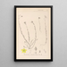Herbier de la flore française Pl0105 - Louis Antoine Cusin — quadro incorniciato alla parete