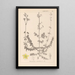 Herbier de la flore française Pl0109 - Louis Antoine Cusin — quadro incorniciato alla parete