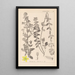 Herbier de la flore française Pl0111 - Louis Antoine Cusin — quadro incorniciato alla parete
