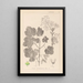 Herbier de la flore française Pl0120 - Louis Antoine Cusin — quadro incorniciato alla parete