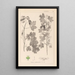 Herbier de la flore française Pl0122 - Louis Antoine Cusin — quadro incorniciato alla parete