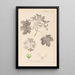 Herbier de la flore française Pl0123 - Louis Antoine Cusin — quadro incorniciato alla parete