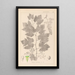 Herbier de la flore française Pl0124 - Louis Antoine Cusin — quadro incorniciato alla parete