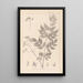 Herbier de la flore française Pl0126 - Louis Antoine Cusin — quadro incorniciato alla parete