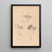 Herbier de la flore française Pl0129 - Louis Antoine Cusin — quadro incorniciato alla parete