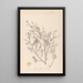 Herbier de la flore française Pl0138 - Louis Antoine Cusin — quadro incorniciato alla parete