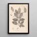Herbier de la flore française Pl0142 - Louis Antoine Cusin — quadro incorniciato alla parete