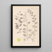 Herbier de la flore française Pl0146 - Louis Antoine Cusin — quadro incorniciato alla parete