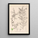 Herbier de la flore française Pl0149 - Louis Antoine Cusin — quadro incorniciato alla parete