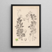 Herbier de la flore française Pl0154 - Louis Antoine Cusin — quadro incorniciato alla parete