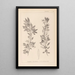 Herbier de la flore française Pl0155 - Louis Antoine Cusin — quadro incorniciato alla parete