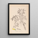 Herbier de la flore française Pl0163 - Louis Antoine Cusin — quadro incorniciato alla parete