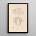 Herbier de la flore française Pl0173 - Louis Antoine Cusin — quadro incorniciato alla parete