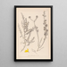 Herbier de la flore française Pl0184 - Louis Antoine Cusin — quadro incorniciato alla parete