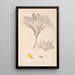 Herbier de la flore française Pl0187 - Louis Antoine Cusin — quadro incorniciato alla parete