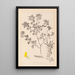 Herbier de la flore française Pl0200 - Louis Antoine Cusin — quadro incorniciato alla parete