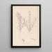 Herbier de la flore française Pl0208 - Louis Antoine Cusin — quadro incorniciato alla parete