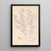 Herbier de la flore française Pl0213 - Louis Antoine Cusin — quadro incorniciato alla parete