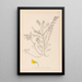 Herbier de la flore française Pl0214 - Louis Antoine Cusin — quadro incorniciato alla parete