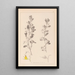 Herbier de la flore française Pl0217 - Louis Antoine Cusin — quadro incorniciato alla parete