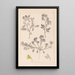 Herbier de la flore française Pl0218 - Louis Antoine Cusin — quadro incorniciato alla parete