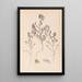 Herbier de la flore française Pl0220 - Louis Antoine Cusin — quadro incorniciato alla parete