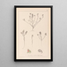 Herbier de la flore française Pl0221 - Louis Antoine Cusin — quadro incorniciato alla parete