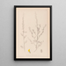 Herbier de la flore française Pl0235 - Louis Antoine Cusin — quadro incorniciato alla parete