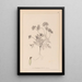 Herbier de la flore française Pl0240 - Louis Antoine Cusin — quadro incorniciato alla parete