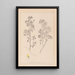 Herbier de la flore française Pl0245 - Louis Antoine Cusin — quadro incorniciato alla parete