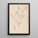 Herbier de la flore française Pl0317 - Louis Antoine Cusin — quadro incorniciato alla parete