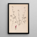 Herbier de la flore française Pl0321 - Louis Antoine Cusin — quadro incorniciato alla parete
