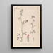 Herbier de la flore française Pl0322 - Louis Antoine Cusin — quadro incorniciato alla parete