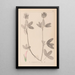 Herbier de la flore française Pl0326 - Louis Antoine Cusin — quadro incorniciato alla parete