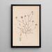 Herbier de la flore française Pl0327 - Louis Antoine Cusin — quadro incorniciato alla parete