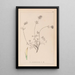 Herbier de la flore française Pl0328 - Louis Antoine Cusin — quadro incorniciato alla parete