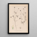 Herbier de la flore française Pl0329 - Louis Antoine Cusin — quadro incorniciato alla parete