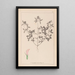 Herbier de la flore française Pl0331 - Louis Antoine Cusin — quadro incorniciato alla parete