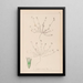 Herbier de la flore française Pl0337 - Louis Antoine Cusin — quadro incorniciato alla parete