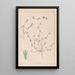 Herbier de la flore française Pl0342 - Louis Antoine Cusin — quadro incorniciato alla parete