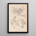 Herbier de la flore française Pl0346 - Louis Antoine Cusin — quadro incorniciato alla parete