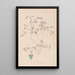 Herbier de la flore française Pl0349 - Louis Antoine Cusin — quadro incorniciato alla parete