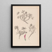 Herbier de la flore française Pl0355 - Louis Antoine Cusin — quadro incorniciato alla parete