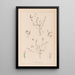 Herbier de la flore française Pl0364 - Louis Antoine Cusin — quadro incorniciato alla parete