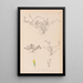 Herbier de la flore française Pl0365 - Louis Antoine Cusin — quadro incorniciato alla parete