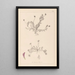 Herbier de la flore française Pl0399 - Louis Antoine Cusin — quadro incorniciato alla parete